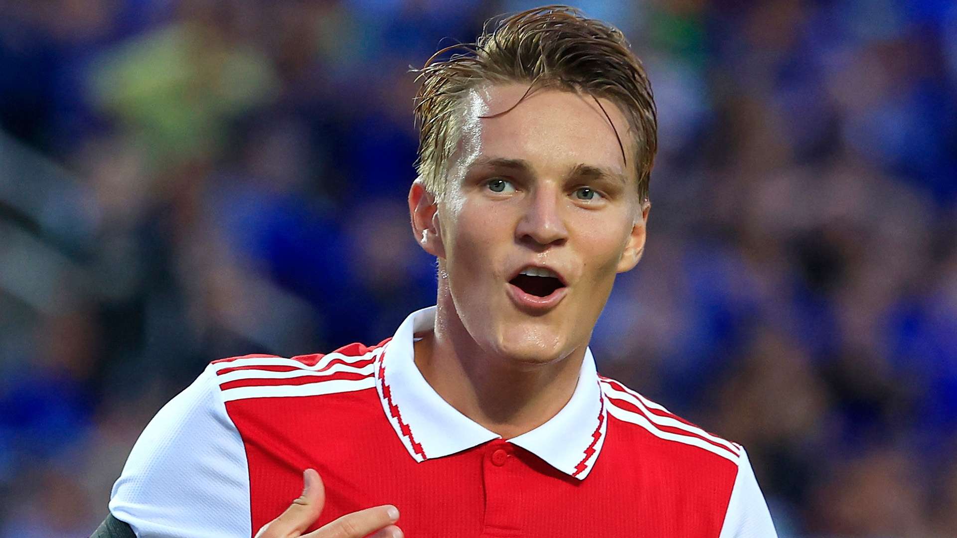 球迷的情绪 球迷的情绪