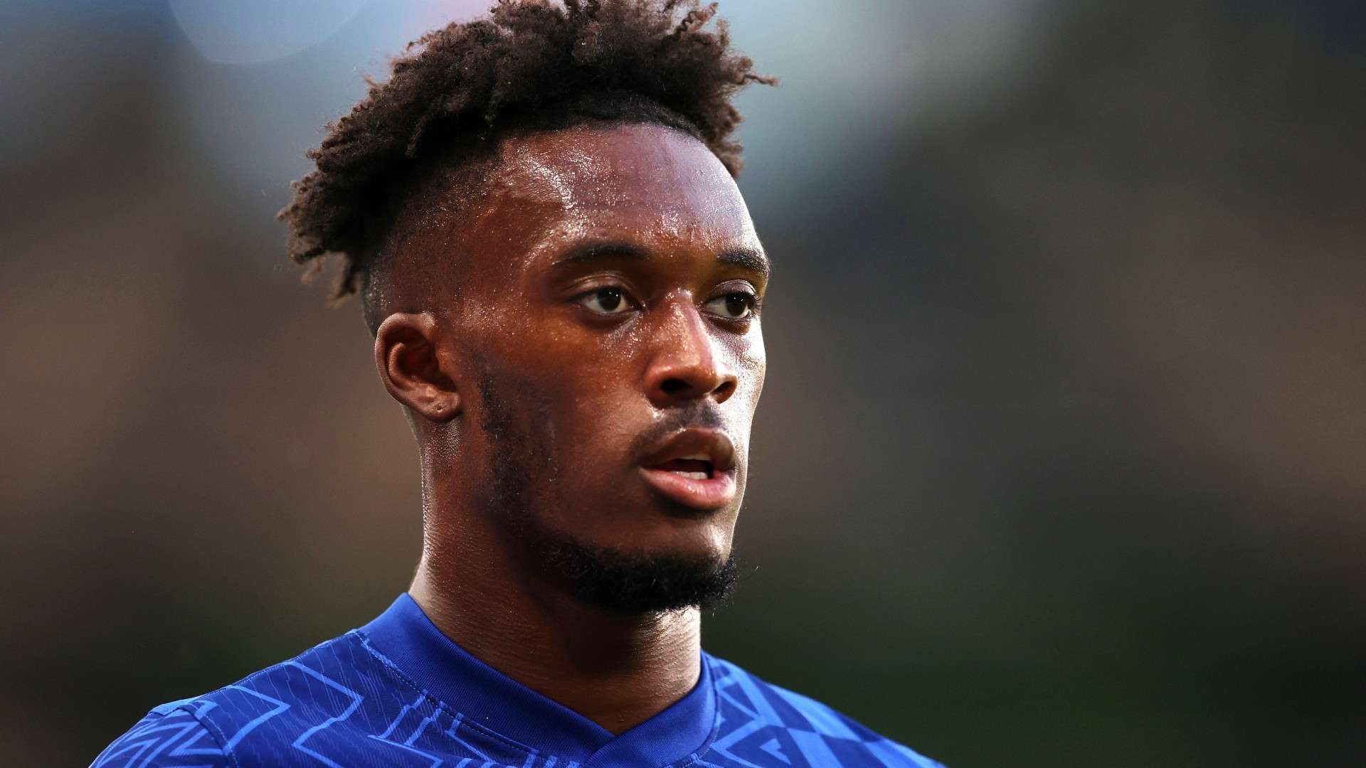 在这一宏大 在这一宏大